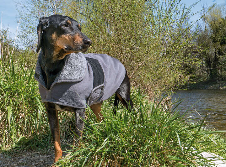 petlando Hundebademantel Superdry